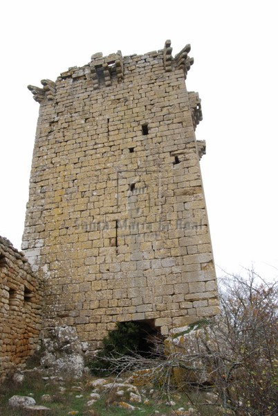 Torre nordeste Torre nordeste