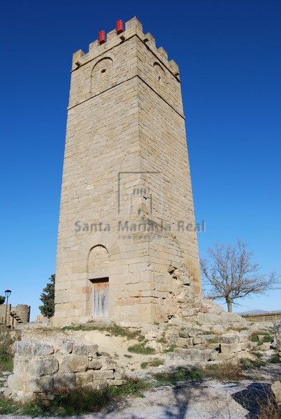 Vista general torre del castillo