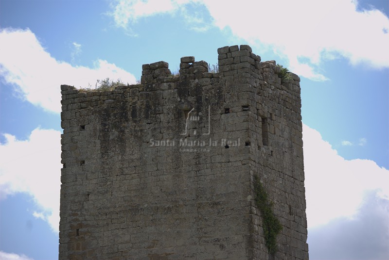 Detalle de la torre oeste