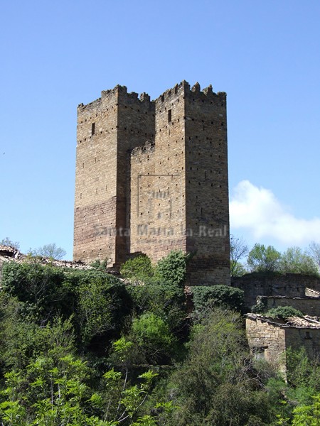 Vista del castillo