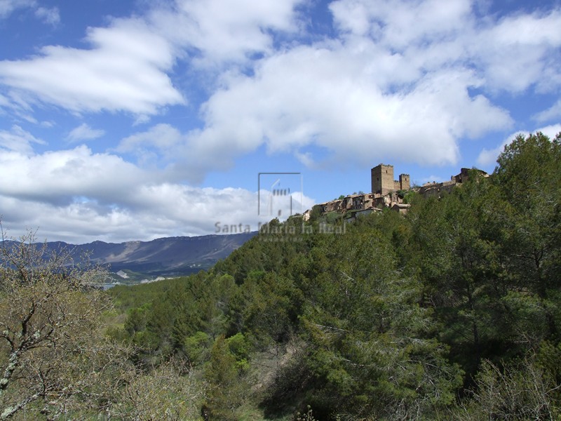 Panorámica