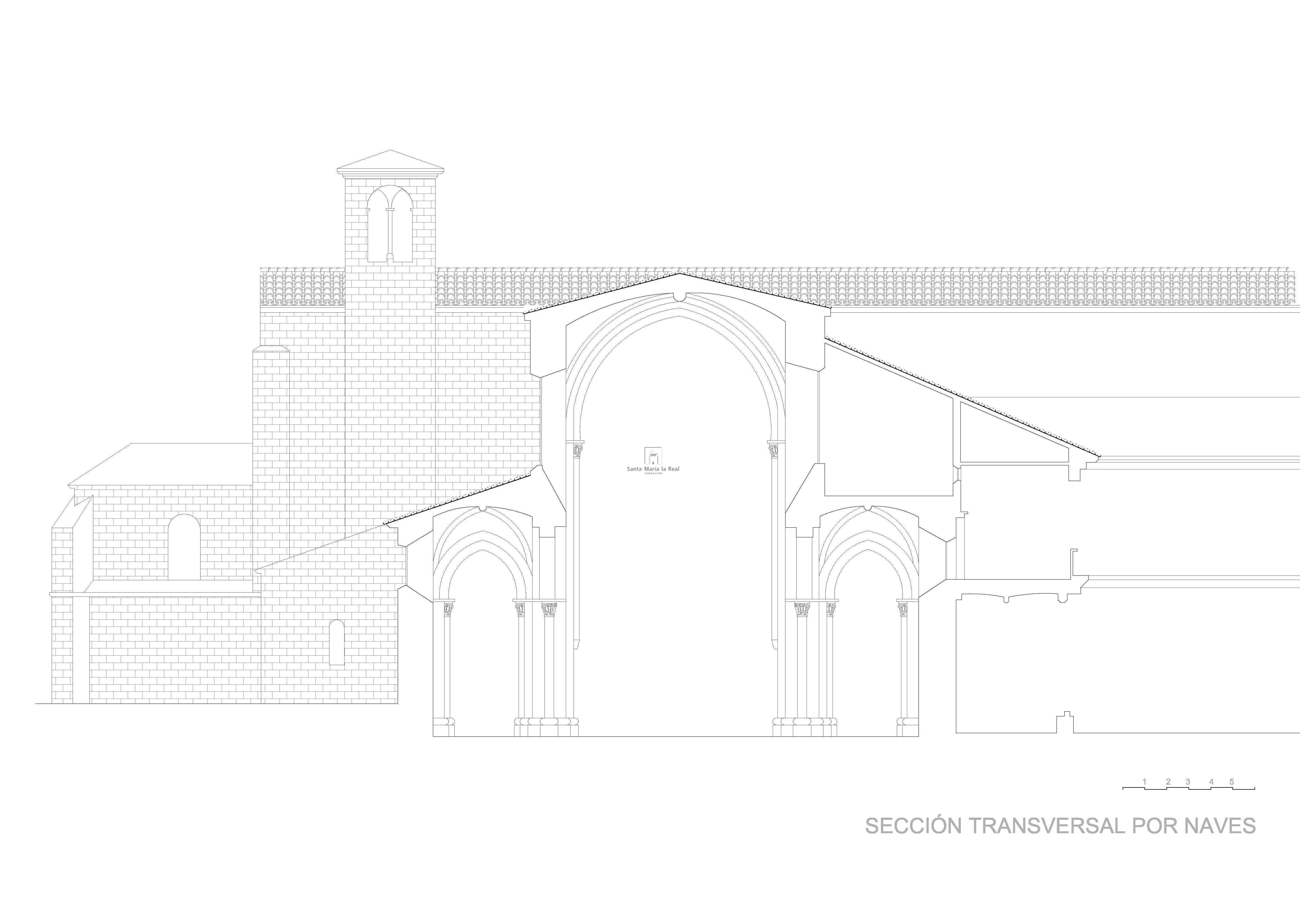 Sección transversal